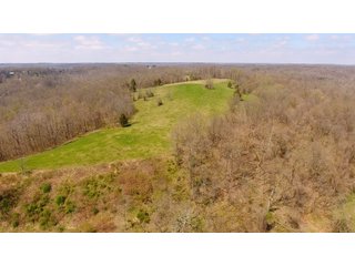Property photo 20 - REAL ESTATE AUCTION - 1,013 ACRES IN 21 TRACTS IN MARTIN COUNTY, INDIANA